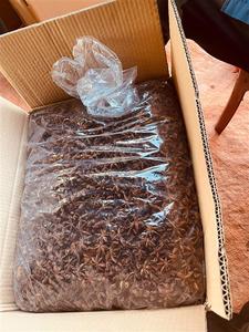 Anís estrellado seco de Vietnam de calidad de exportación, vainas enteras, bolsa de 4 onzas, especias al por mayor para cocinar y hornear - Product Image 4