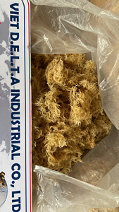 สาหร่าย-มอสทะเลไอริชจำนวนมาก // มิสลิมา - Product Image 4