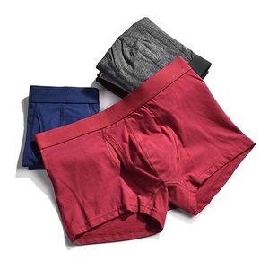 Pantalones Cortos de Hombre de Corte Alto, Transpirables, Impermeables, de Algodón Sólido, Precio de Fábrica Personalizado - Product Image 5
