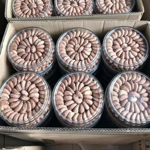 Proveedor de Vietnam, Nueces de Anacardo Premium Saladas y Tostadas de Alta Calidad, Listas para Exportar, Venta al Por Mayor a Granel, Precio Competitivo - Product Image 1