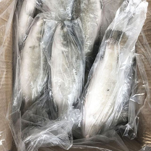 ปลากะพงแช่แข็งคุณภาพพรีเมียม ขายส่งจำนวนมาก พร้อมจัดส่ง เกรดอาหาร ส่งออกทั่วโลก - Product Image 2