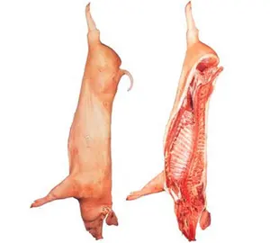 Frozen Pork Carcass 6 Cuts (Six Way Cuts)