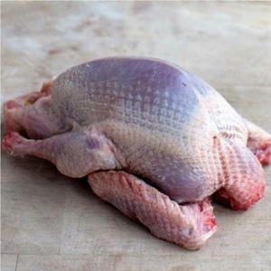 เนื้อไก่กินีสดและแช่แข็ง คุณภาพพรีเมียม สำหรับส่งออกขายส่ง - Product Image 1