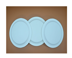 Assiettes jetables écologiques en bagasse de canne à sucre biodégradable et compostable, très résistantes, blanches, 10 pouces, lot de 100 pour fêtes - Product Image 1