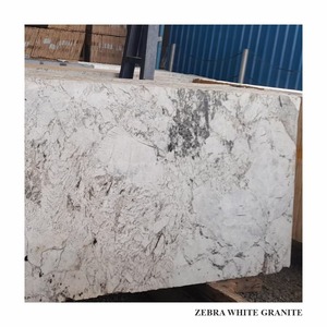 Dalles de granit blanc zèbre très demandées, pierre naturelle polie pour comptoirs, revêtements de sol, revêtements muraux et projets d'intérieur - Product Image 2