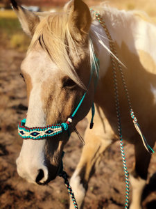 Hot Selling Horse Rope <b>Halter</b> with Custom Design Options horse equipment paracord braided noseband at best price - Product Image 4