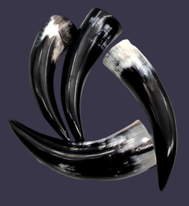 Tazas Cortas de Cuerno Natural al por Mayor - Vasos Clásicos Ecológicos Aislados para Bebidas Calientes, Café Helado y Cócteles, Ideales para Fiestas - Product Image 6