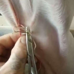 Instrumentos Veterinarios, 10 Agujas Quirúrgicas para Cerdos, Ganado, Ovejas, Aves de Corral, Agujas de Sutura Veterinaria Médica de ARMANDIOUS - Product Image 4