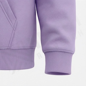 Fabricant de sweats à capuche unisexes OEM ODM pour l'hiver, sweat-shirt en molleton doux, production en gros, broderie personnalisée, 100% coton - Product Image 6