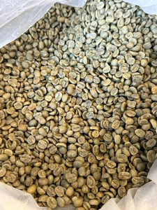 Premium Unroasted Robusta <b>Beans</b> Natural Raw Bulk <b>Coffee</b> For Roasting And Extracts Vietnam green <b>coffee</b> <b>bean</b> - Raw <b>coffee</b> <b>bean</b> - Product Image 3