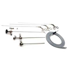 ชุดอุปกรณ์ผ่าตัดส่องกล้องมดลูกขนาด 2.9 มม. มุมมอง 30 องศา สำหรับนรีเวชวิทยา ผลิตจากสแตนเลส คุณภาพมาตรฐานสหรัฐอเมริกาและยุโรป - Product Image 2