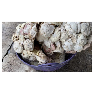 Trozos de Caucho de Alta Demanda, Material de Primera Calidad para el Sector de Procesamiento y Fabricación de Caucho - Product Image 5