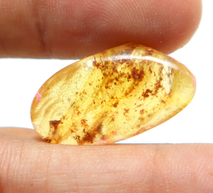 Cabochon en ambre baltique naturel de 7 carats, forme fantaisie, taille 26x14x7 mm, pour la fabrication de bijoux - Product Image 2