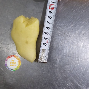 Racine de gingembre entière congelée du Vietnam, rhizome sélectionné pour la transformation culinaire à grande échelle - Product Image 1