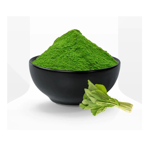 Espinaca en Polvo Liofilizada FD, 0% Humedad, 2 Años de Vida Útil, Empaque a Granel, Grado Alimenticio, Marca Shubhalaxmi, Maharashtra - Product Image 1