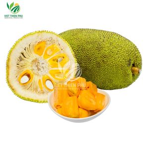 Jackfruit surgelé IQF du Vietnam, qualité alimentaire, fruit tropical pour l'exportation, vente en gros, approvisionnement en vrac - Product Image 1