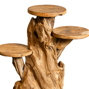 ARTERRA Support de Présentation de Luxe pour Décoration Intérieure Diwali, Racine de Teck Bio, Artisanat Rustique Fait Main, Collection Intérieur/Extérieur - Product Image 3