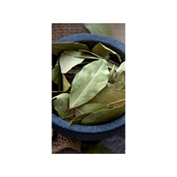 Feuilles de Laurier Cinnamomum Tamala Tej Patta Tejpatta Tejpat Malabar Séchées, Herbes Brutes Séchées, Extrait Végétal, Produit Herbal en Gros