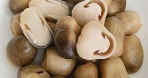 Hongo Fresco Premium – Volvariella Volvacea de Alta Calidad para Exportación, Precio Competitivo // Sr. Tom - Product Image 2