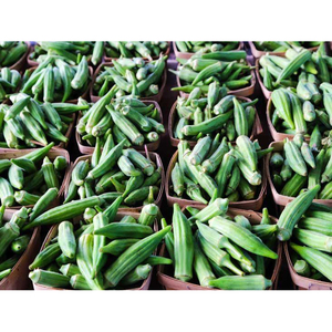 Okra fresca orgánica de primera calidad, suministro a granel para empresas alimentarias internacionales, cocinas comerciales y procesamiento industrial. - Product Image 3