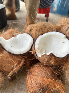 Aceite de Coco Crudo Orgánico de Primera Calidad del Delta del Mekong en Botellas de Vidrio (1000L) para Uso Industrial y Comercial - Product Image 6