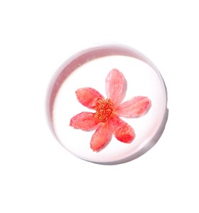 Viola Herb Flower - Espécimen de Planta Real en Cabujón de Plástico Redondo de 35x35 mm con Base Plana Transparente para Manualidades y Joyería - Product Image 2