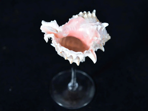 Copas de Vino de Concha Natural Hechas a Mano, Regalo para Bodas en la Costa, Navidad, Aniversario, Decoración de Playa, Despedida de Soltera, Elegante, Tacto Real - Product Image 2