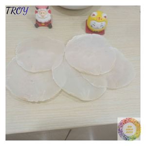 เปลือกหอยคาปิซแบบเป็นชิ้นสำหรับผู้นำเข้า ผู้ค้าส่ง ร้านงานฝีมือ DIY และผู้ผลิตสินค้าตกแต่ง วัสดุธรรมชาติ - Product Image 4