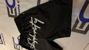 Best Quality Breathable Nylon Shorts with Drawstring Custom Sublimation Design Zipper <b>Puller</b> Nylon Shorts - Product Image 6