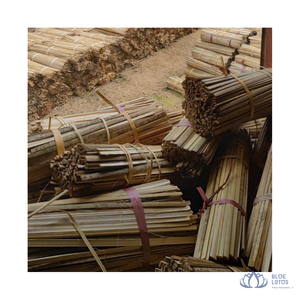 [ALTA CALIDAD] |   Varas de bambú amarillo seco, cortadas a la mitad, para estructuras de cometas de Pakistán y estructuras pesadas de Vietnam - Product Image 1