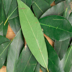 Hoja de Laurel India Seca de Nueva Temporada, Cuidadosamente Seleccionada, Especias a Granel, Comercio Internacional, Suministro de Ingredientes Alimenticios, Cadenas de Suministro - Product Image 2