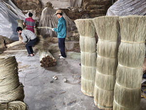 High Quality Natural Seagrass Raw Material From Vietnam For Handicrafts Home Decor And Furniture Production - Product Image 2