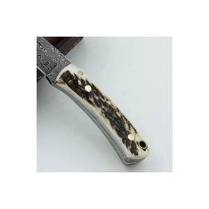 Couteau à lame fixe en acier Damas fait main par PAK ENTERPRISES, avec manche en corne de cerf et étui en cuir, couteau de chasse et d'extérieur - Product Image 3
