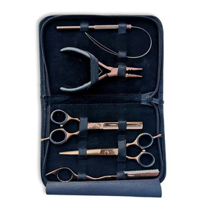 Juego de Herramientas de Maquillaje para Extensiones de Cabello de Alta Calidad con Pinzas Profesionales, Tijeras, Kit de Eliminación de Extensiones de Cabello, Acero Inoxidable, Salón de Belleza - Product Image 6