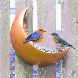 Moderno Adorno Colgante de Luna, Comedero para Pájaros de Metal Negro para Jardín Exterior, Decoración de Cardenales, Decoración para el Hogar y el Jardín - Product Image 3