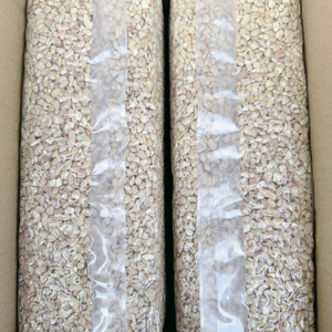 High Quality Split Cashews SANTIGO Kaju Badam Broken Cashew <b>Nuts</b> <b>Kernels</b> FREE Sample - Product Image 2