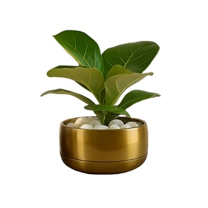 Pot de fleurs en métal pour plantes d'intérieur, pot de fleurs décoratif rond, support de plantes moderne résistant à la rouille pour la maison et le bureau - Product Image 1