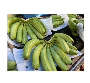 Vietnam factory Premium Export <b>Fresh</b> Green <b>Bananas</b> Pack in 13.5kgs Carton for Export Agriculture Fruit food - Product Image 4