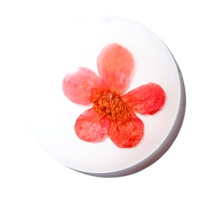 Viola Herb Flower - Espécimen de Planta Real en Cabujón de Plástico Redondo de 35x35 mm, Base Plana Blanca para Manualidades y Joyería - Product Image 2