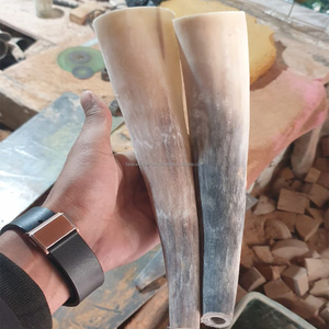 ฮอร์นบูลขนาดใหญ่สำหรับตกแต่งบ้าน - Product Image 6