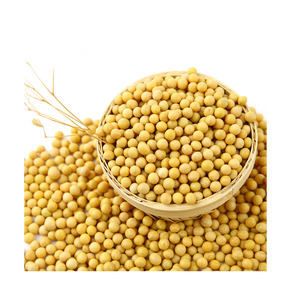 Soja fiable de qualité constante provenant des régions de production mondiales les plus importantes - Product Image 1