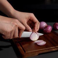 Couteaux de cuisine pour femmes, couteau utilitaire, petit couteau à fruits, hachoir, couteau de chef Damas, couteau utilitaire fait à la main de 5 pouces