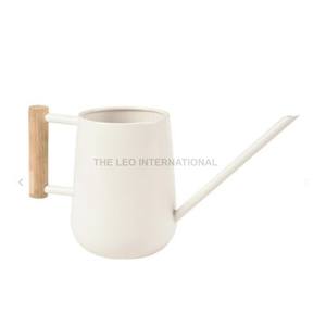 Arrosoir à bec long et étroit, galvanisé, pour plantes d'intérieur et d'extérieur, couleur blanche, en fer, avec poignée en bois - Product Image 1