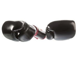 Gants de boxe Fairtex en cuir, à doigts entiers, fermeture auto-agrippante, pour adultes, entraînement, arts martiaux - Product Image 5