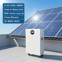 Batterie solaire au lithium LiFePO4 51.2V 16Kwh en stock (ZA, UE, USA) – Pack de batteries lithium-ion 51.2V 280Ah 314Ah 15Kwh pour l'énergie domestique
