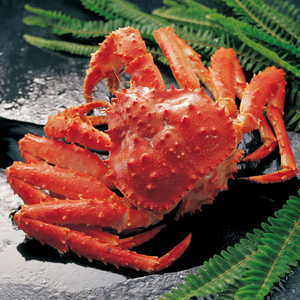 Crabe royal congelé soigneusement emballé, aux grappes de chair riches en saveur et à conservation longue durée, idéal pour les menus de restaurants de fruits de mer - Product Image 5