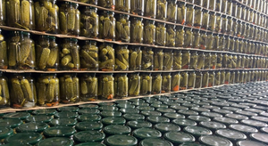 Vietnamese Traditional Fermented Whole <b>Pickled</b> Cucumbers-Sour Flavor Mason <b>Jar</b> Preserved Vegetable Appetizer Contact +84 971 879 - Product Image 4