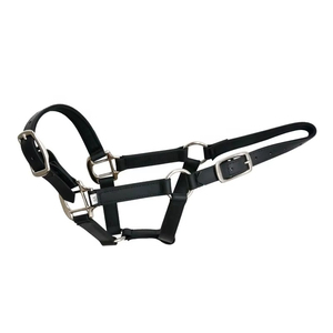 Harnais de cheval en nylon avec nezier rembourré, équipement équestre robuste et réglable pour l'équitation et l'entraînement, harnais personnalisés - Product Image 3