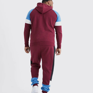 Conjunto Deportivo Unisex Personalizado con Logotipo, Sudadera con Capucha y Pantalones de Chándal, 2 Piezas, Ropa Deportiva para Hombre - Product Image 4