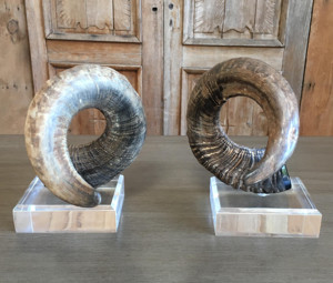 Cuerno de carnero decorativo Shofar Color Natural Base acrílica de alta calidad para decoración del hogar Artesanía Cuerno de carnero natural Cuerno de oveja - Product Image 5